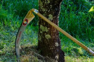 Snaths Temporarily Out Of Stock:  Scythes with 65 cm Flower Blade